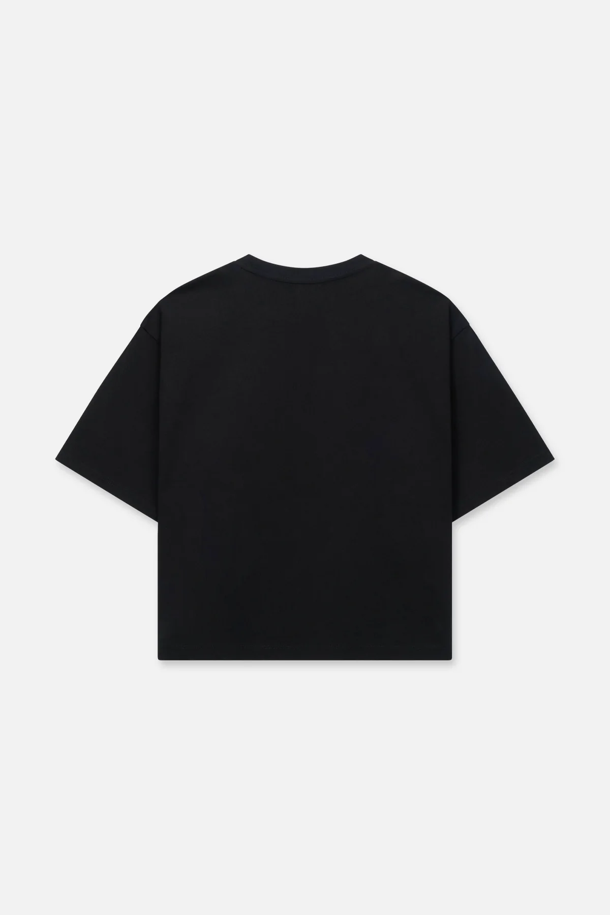 AUSTIN CROPPED SHORT SLEEVE TEE | BLACK LICENSE PLATE - Image 2